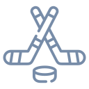 hockys.com domain