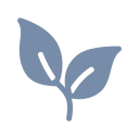 vegeys.com domain