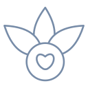 vitays.com domain